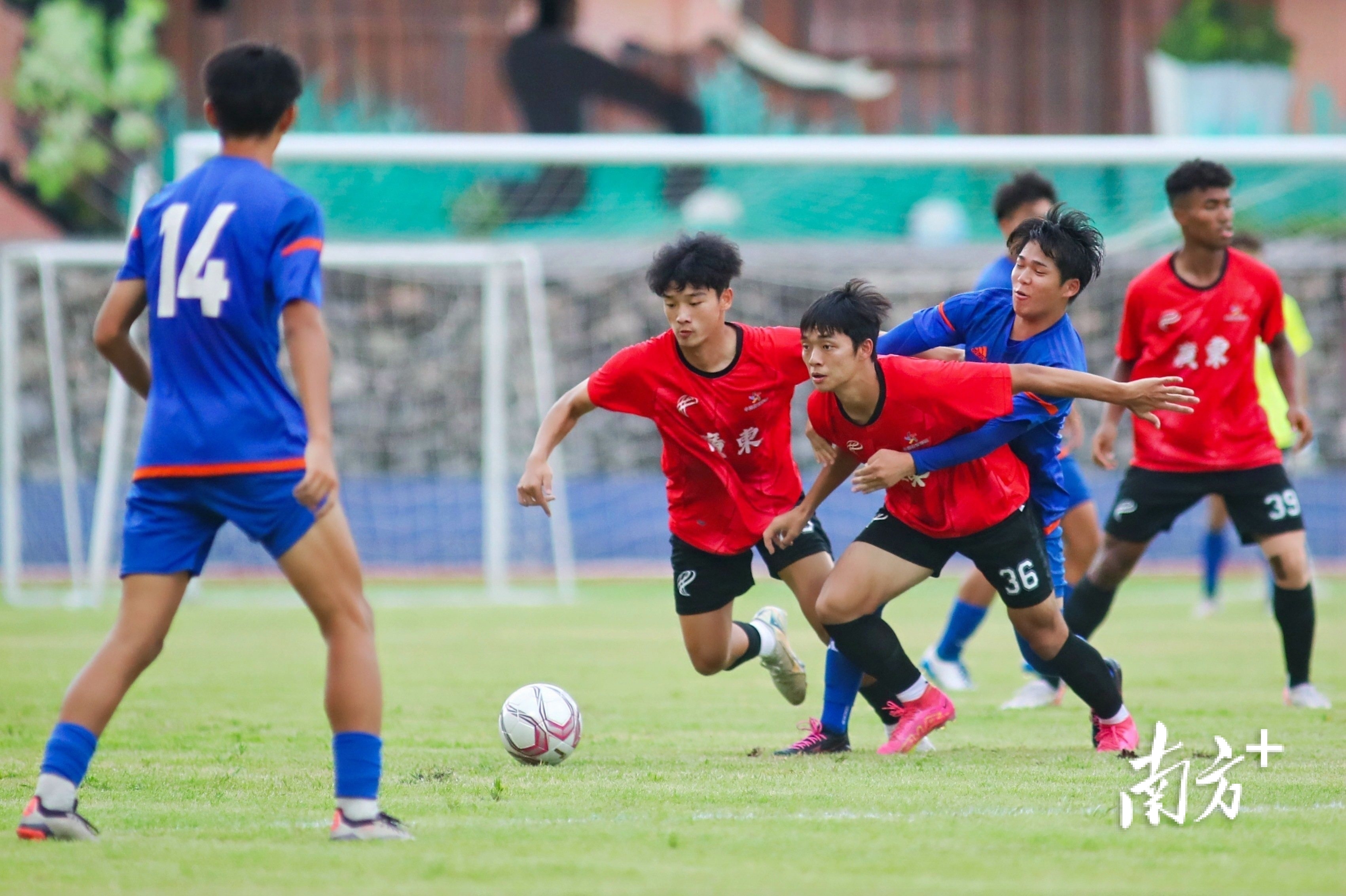 为观察亚洲, 参与, 总决赛